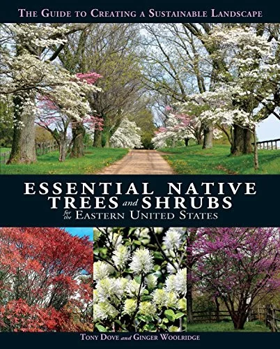 americanbookwarehouse10-877547
