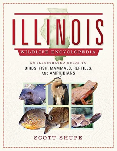 americanbookwarehouse10-878580