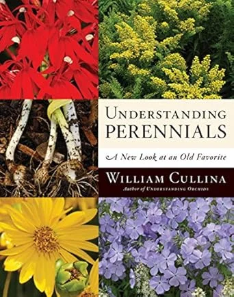 americanbookwarehouse10-886368