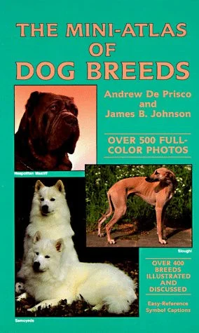 americanbookwarehouse10-892375