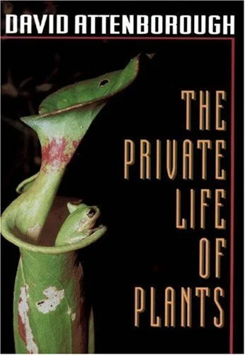 americanbookwarehouse10-895579