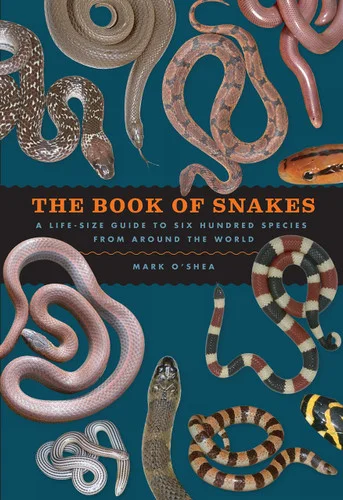 americanbookwarehouse10-898839