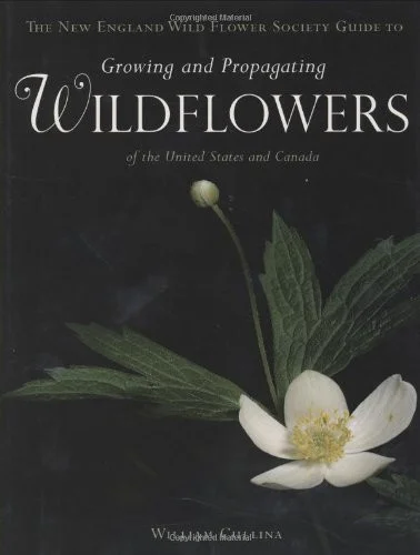 americanbookwarehouse10-901334