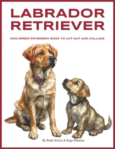 americanbookwarehouse10-916885