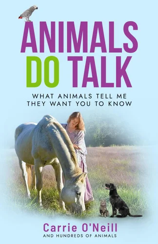 americanbookwarehouse11-1079391