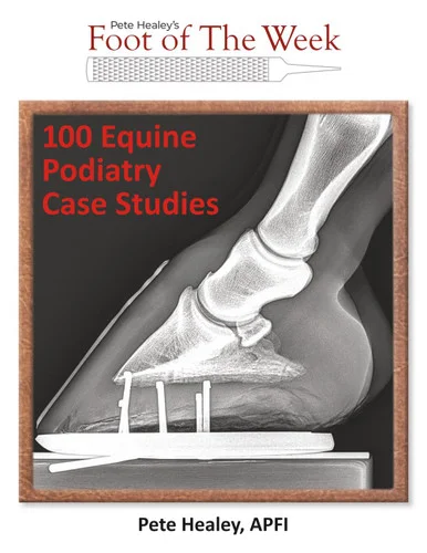 americanbookwarehouse11-1084570