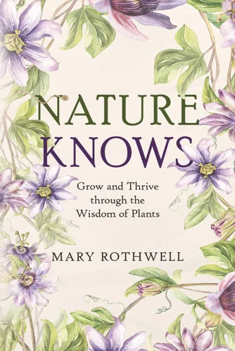 americanbookwarehouse11-1087642