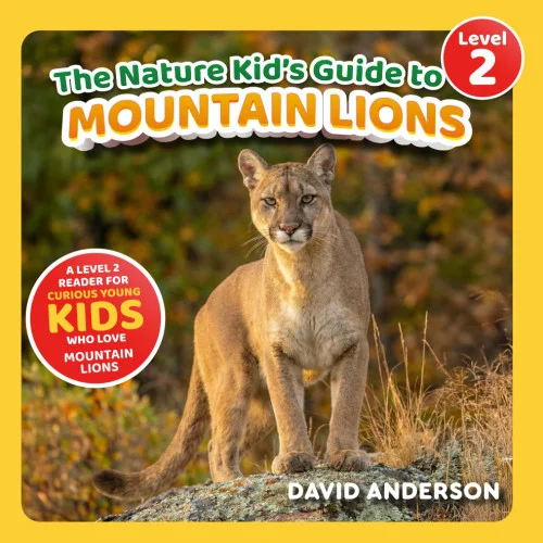 americanbookwarehouse11-1088860