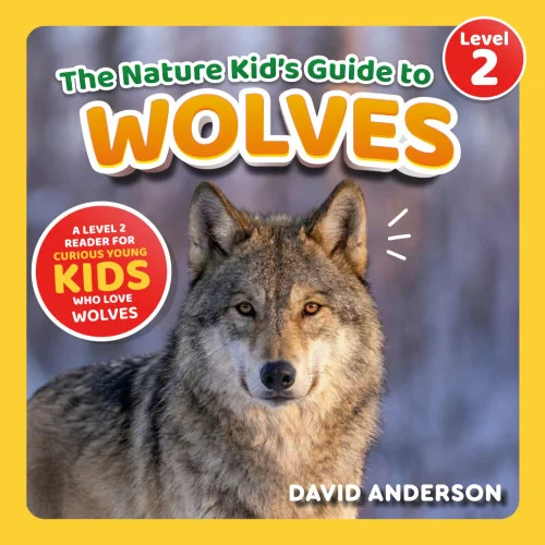 americanbookwarehouse11-1088878
