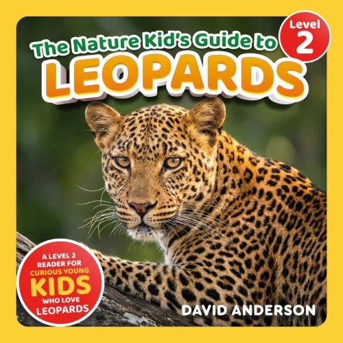 americanbookwarehouse11-1088884