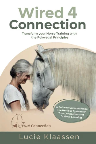 americanbookwarehouse11-1093453