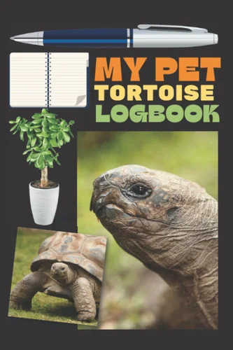 americanbookwarehouse11-1111329