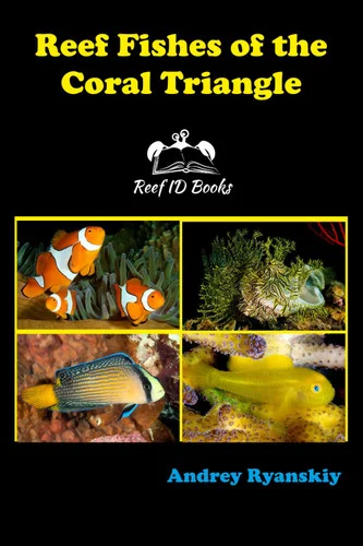 americanbookwarehouse11-1115460