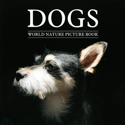 americanbookwarehouse11-1115897