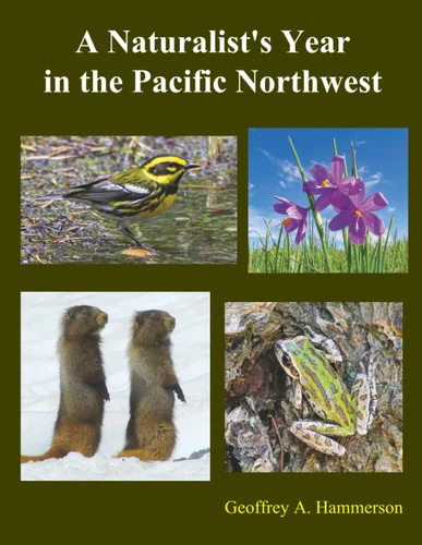 americanbookwarehouse11-1127740
