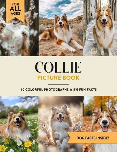 americanbookwarehouse11-1139324