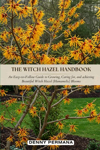 americanbookwarehouse11-1139903
