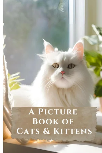 americanbookwarehouse11-1141660