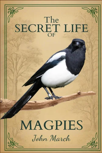 americanbookwarehouse12-1790754