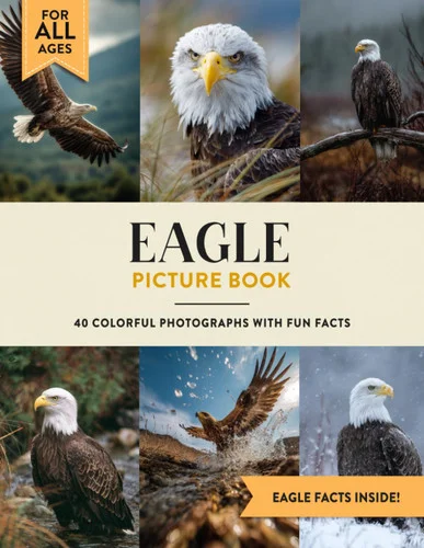 americanbookwarehouse12-1798347