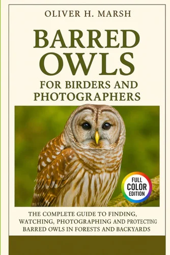 americanbookwarehouse12-1800562