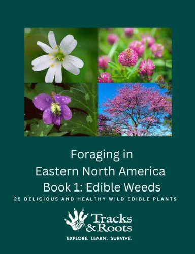 americanbookwarehouse12-1809472