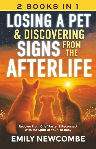 americanbookwarehouse12-1810049