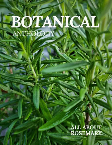 americanbookwarehouse12-1821726