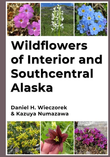 americanbookwarehouse12-1831170