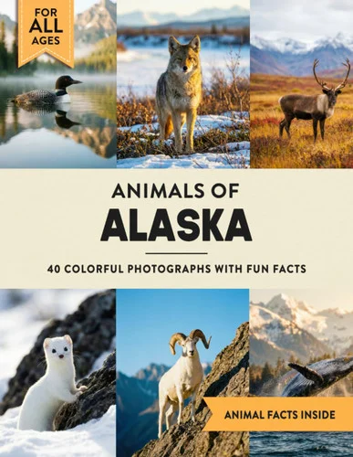 americanbookwarehouse12-1833240