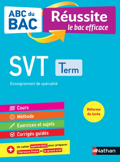 antoineonline8-1283632