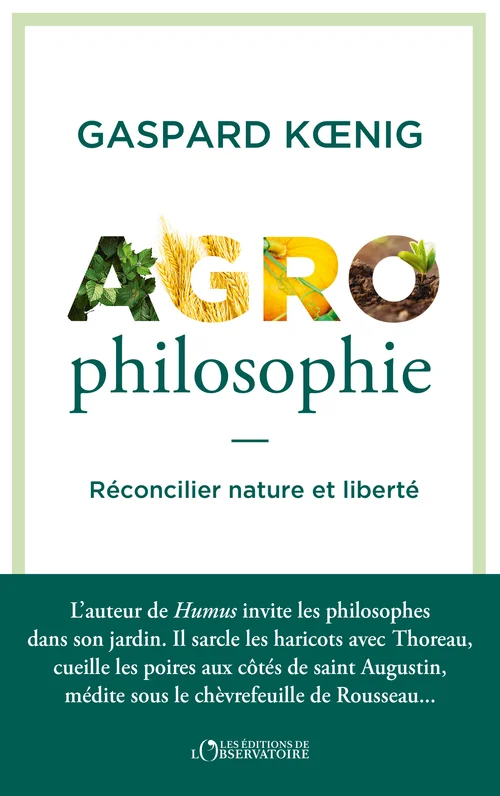 antoineonline9-1334358