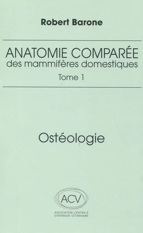 antoineonline9-1339869