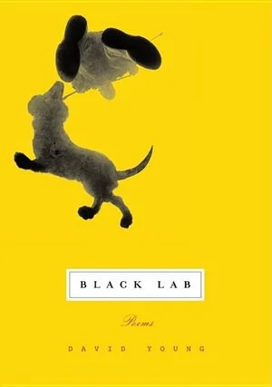 bookcellarinc5-1549393