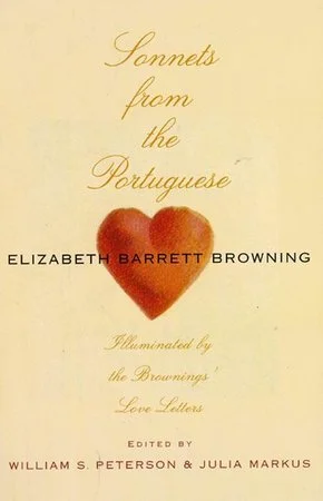 bookcellarinc5-1568107