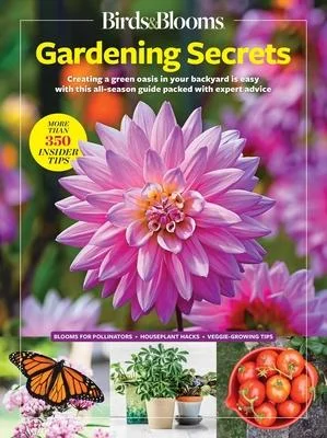 discountmags13-1612926