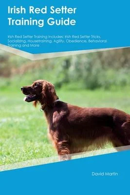 discountmags8-1216194