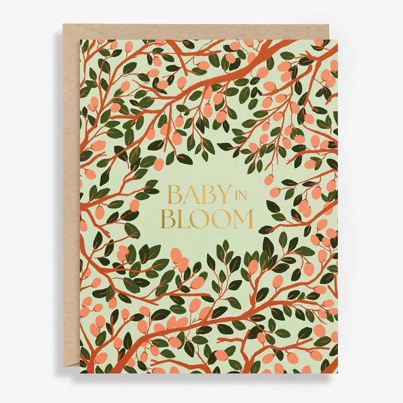 tatteredcover16934059