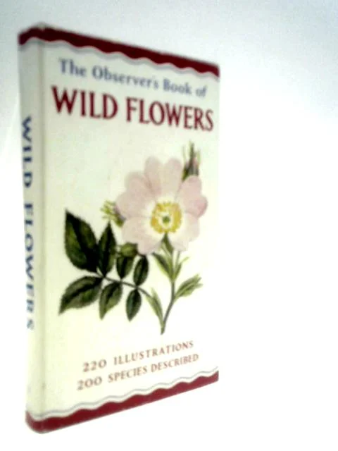 worldofbooks19-1494778
