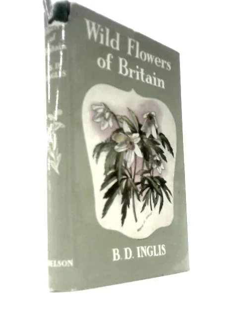 worldofbooks19-1536773