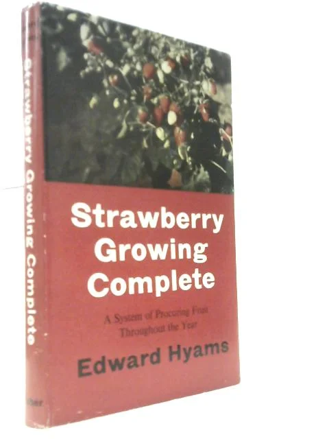worldofbooks19-1556079